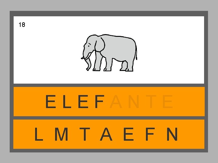 18 ELEFANTE L M T A E F N 