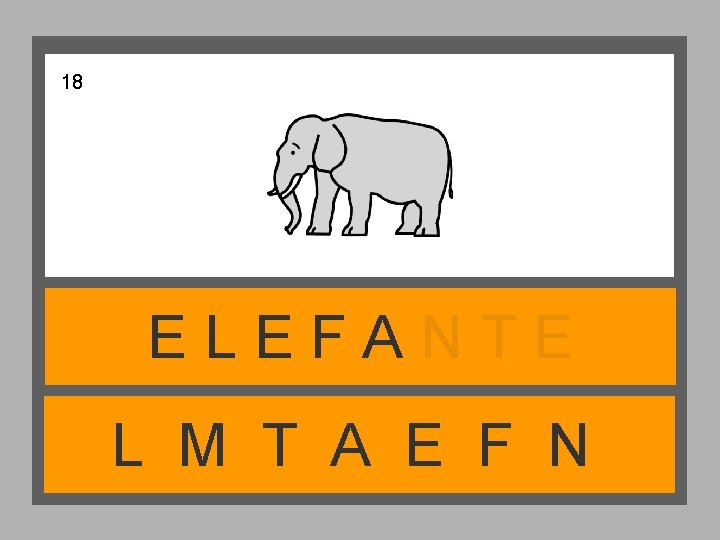 18 ELEFANTE L M T A E F N 