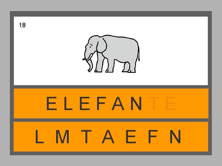 18 ELEFANTE L M T A E F N 