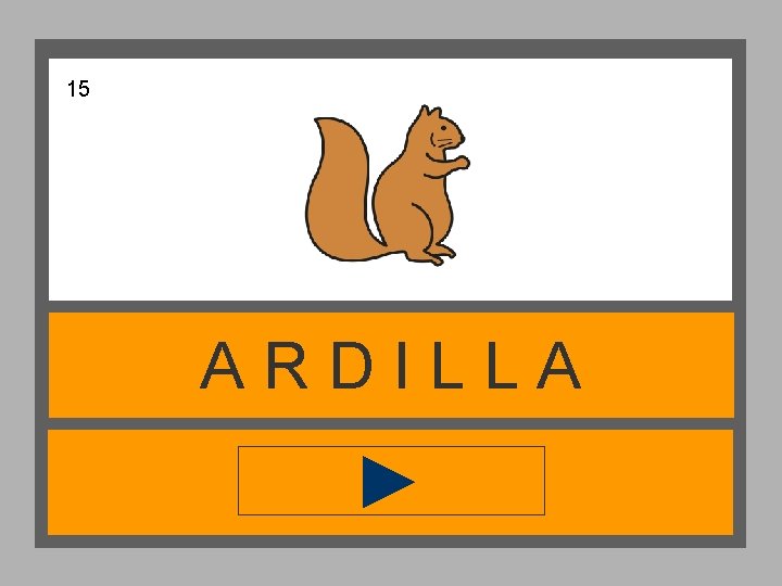 15 ARDILLA 