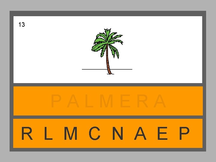 13 PALMERA R L M C N A E P 