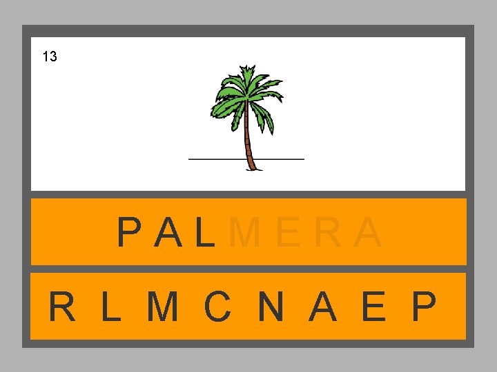 13 PALMERA R L M C N A E P 