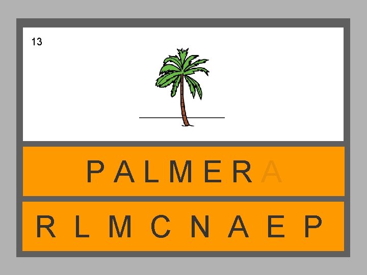 13 PALMERA R L M C N A E P 