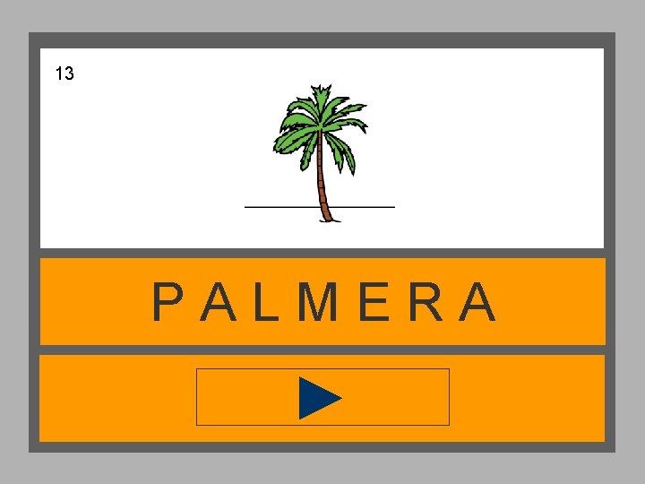 13 PALMERA 