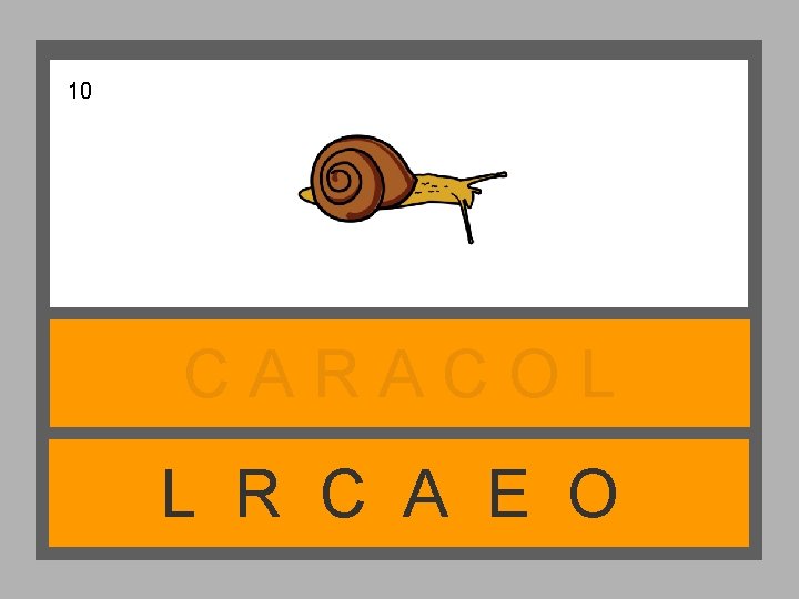 10 CARACOL L R C A E O 