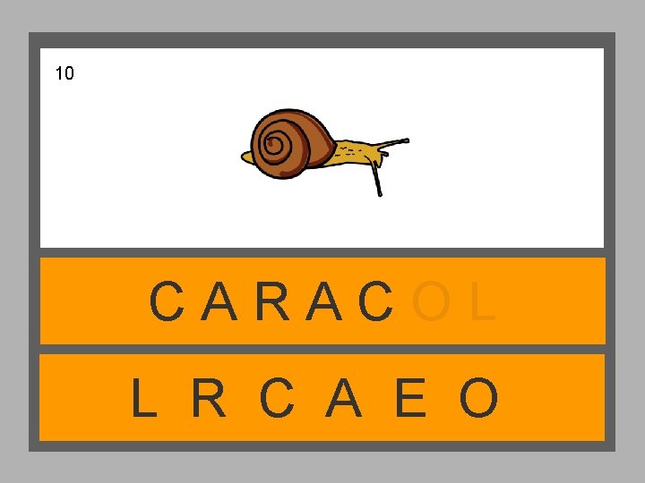 10 CARACOL L R C A E O 