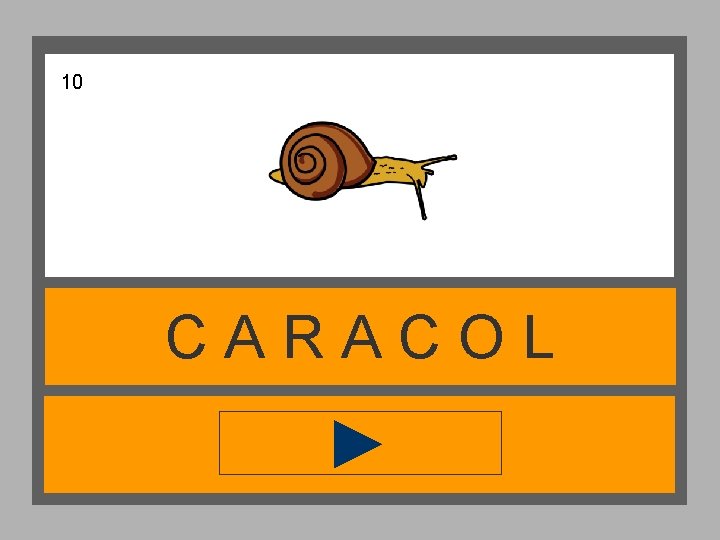 10 CARACOL 