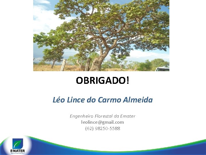OBRIGADO! Léo Lince do Carmo Almeida Engenheiro Florestal da Emater leolince@gmail. com (62) 98250