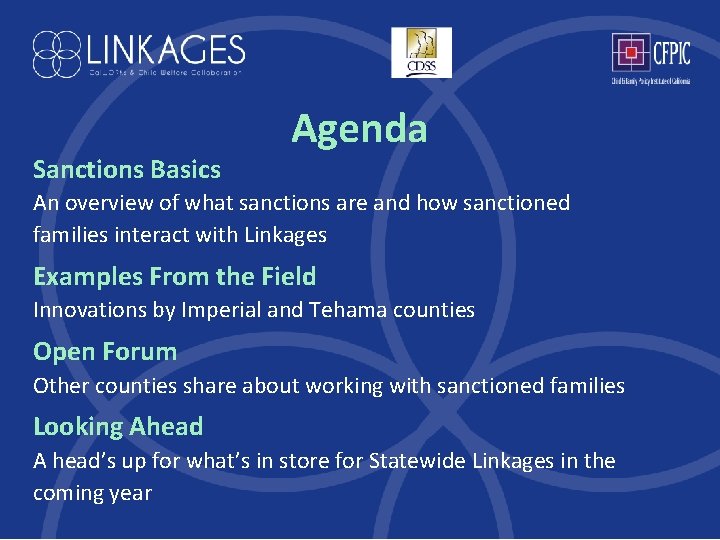 Sanctions Basics Agenda An overview of what sanctions are and how sanctioned families interact