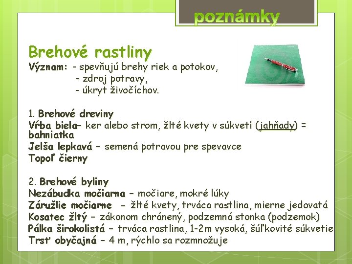 Brehové rastliny Význam: - spevňujú brehy riek a potokov, - zdroj potravy, - úkryt