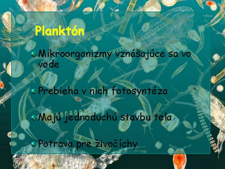 Planktón Mikroorganizmy vznášajúce sa vo vode Prebieha v nich fotosyntéza Majú jednoduchú stavbu tela