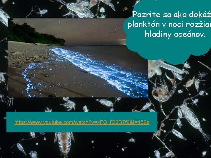 Pozrite sa ako dokáž More ako planktón v noci rozžiar hladiny oceánov. https: //www.