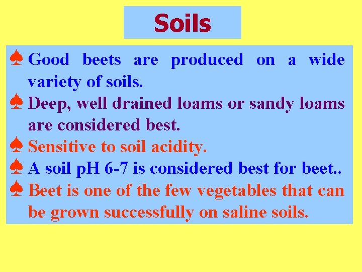 Soils ♠ Good beets are produced on a wide variety of soils. ♠ Deep,