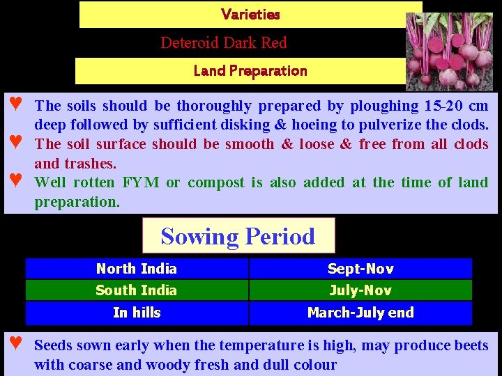 Varieties Deteroid Dark Red Land Preparation ♥ ♥ ♥ The soils should be thoroughly