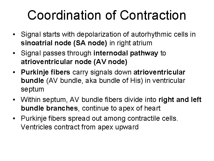 Coordination of Contraction • Signal starts with depolarization of autorhythmic cells in sinoatrial node