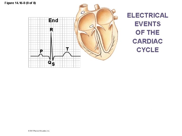 Figure 14. 16 -8 (8 of 8) End R T P QS ELECTRICAL EVENTS