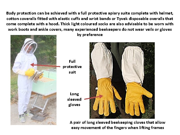 Body protection can be achieved with a full protective apiary suite complete with helmet,