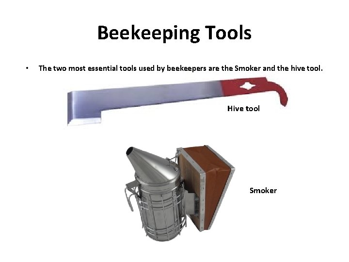 Beekeeping Tools • The two most essential tools used by beekeepers are the Smoker