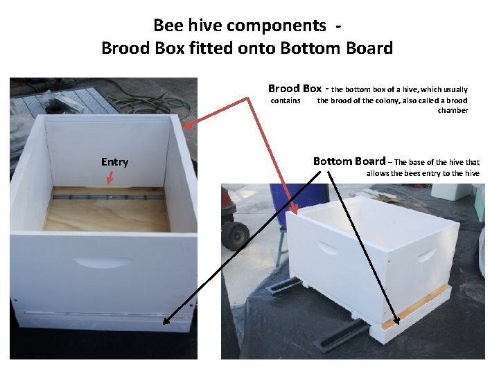 Bee hive components Brood Box fitted onto Bottom Board Brood Box - the bottom