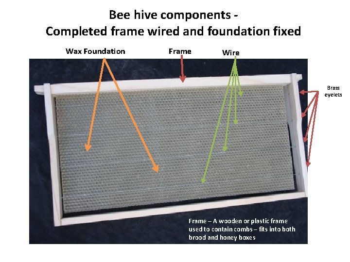 Bee hive components Completed frame wired and foundation fixed Wax Foundation Frame Wire Brass