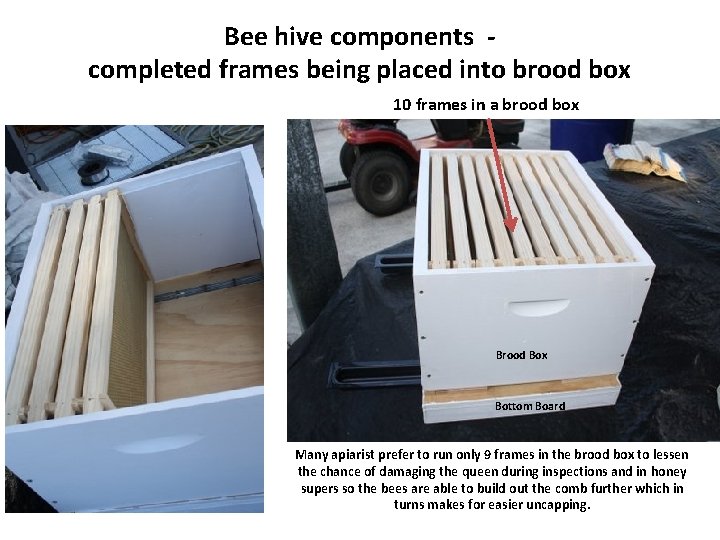 Bee hive components completed frames being placed into brood box 10 frames in a