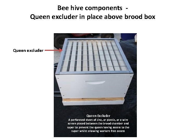 Bee hive components Queen excluder in place above brood box Queen excluder Queen Excluder