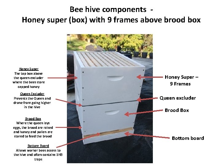 Bee hive components Honey super (box) with 9 frames above brood box Honey Super
