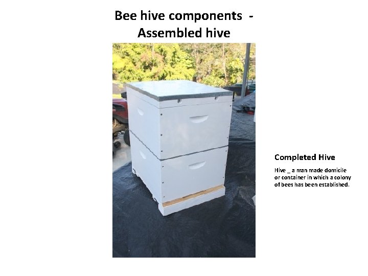 Bee hive components Assembled hive Completed Hive _ a man made domicile or container