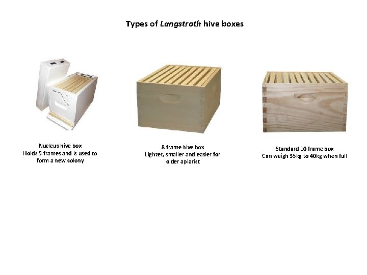 Types of Langstroth hive boxes Nucleus hive box Holds 5 frames and is used