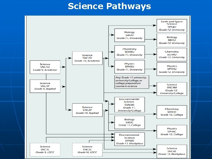 Science Pathways 