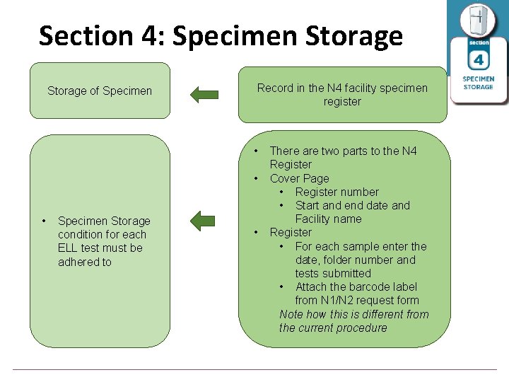 Section 4: Specimen Storage of Specimen Record in the N 4 facility specimen register