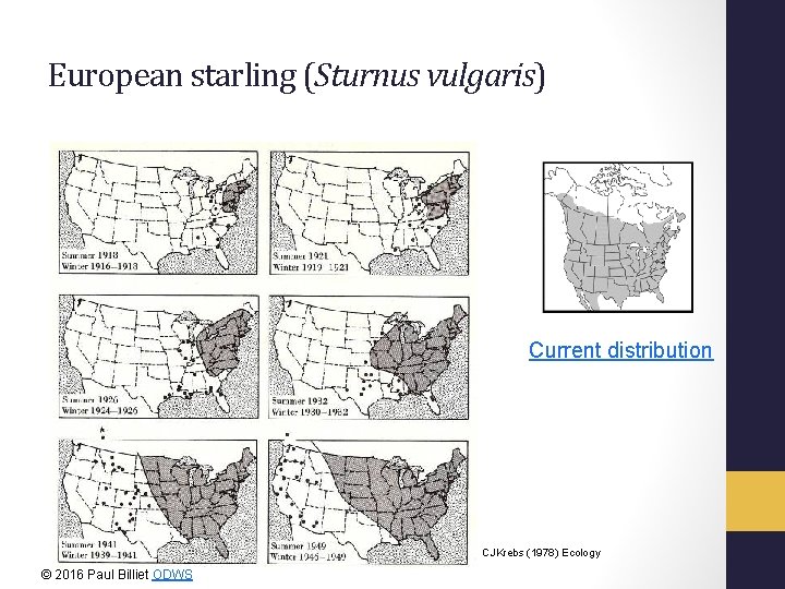 European starling (Sturnus vulgaris) Current distribution CJKrebs (1978) Ecology © 2016 Paul Billiet ODWS