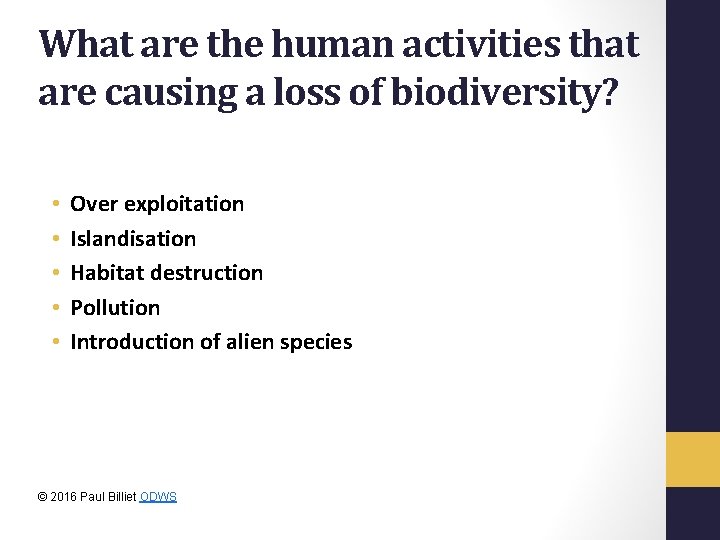 What are the human activities that are causing a loss of biodiversity? • •