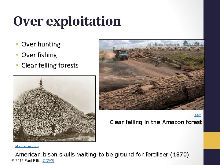 Over exploitation • Over hunting • Over fishing • Clear felling forests BBC Clear