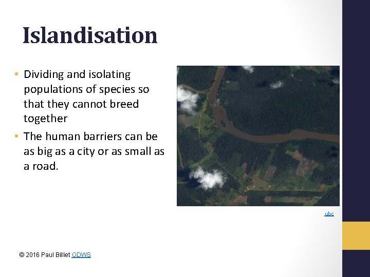 Islandisation • Dividing and isolating populations of species so that they cannot breed together