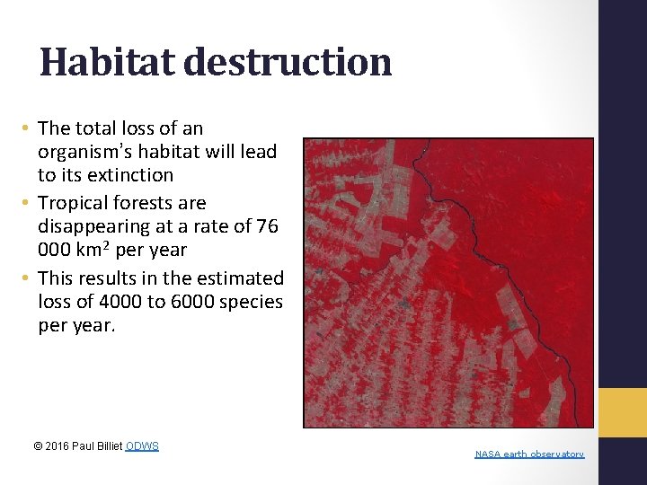 Habitat destruction • The total loss of an organism’s habitat will lead to its