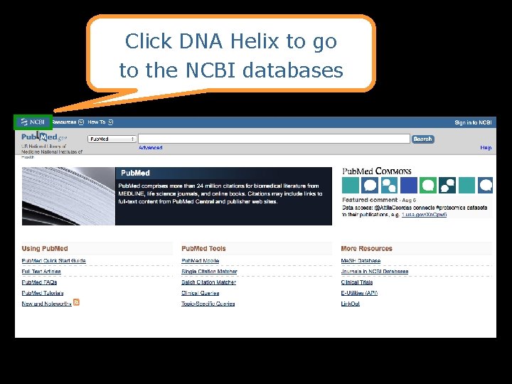 Click DNA Helix to go to the NCBI databases 