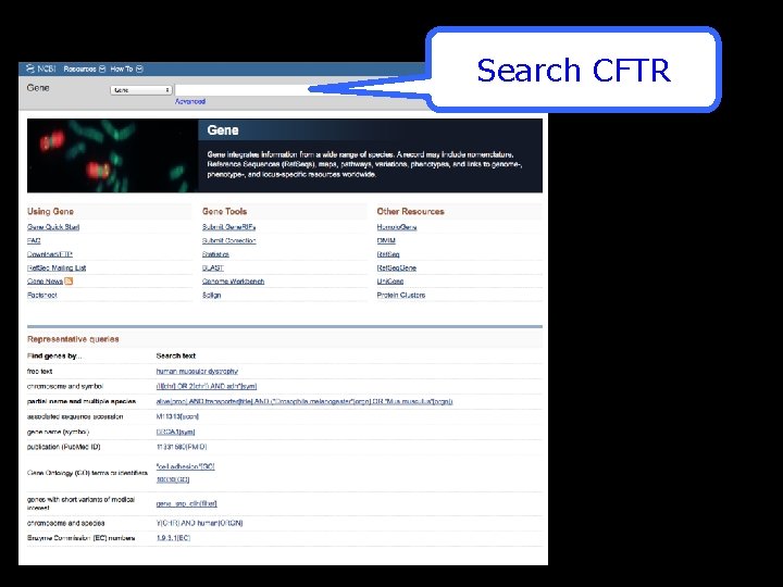 Search CFTR 