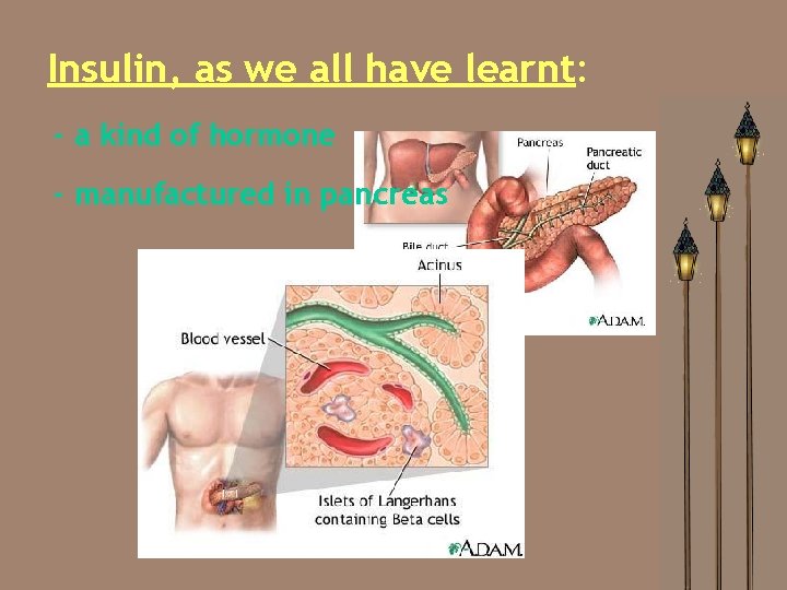 Insulin, as we all have learnt: - a kind of hormone - manufactured in