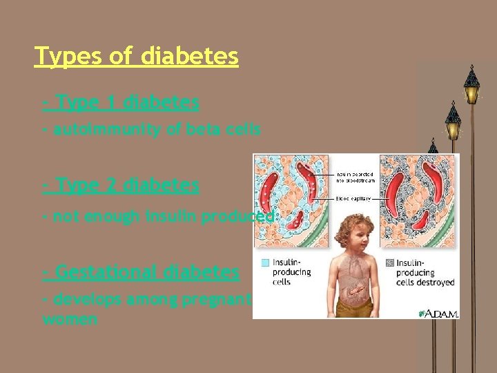 Types of diabetes - Type 1 diabetes - autoimmunity of beta cells - Type