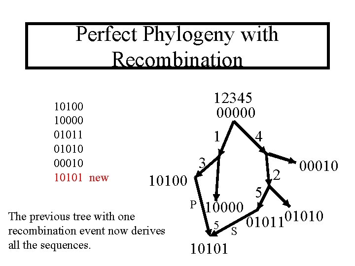 Perfect Phylogeny with Recombination 10100 10000 01011 01010 00010 10101 new 12345 00000 1