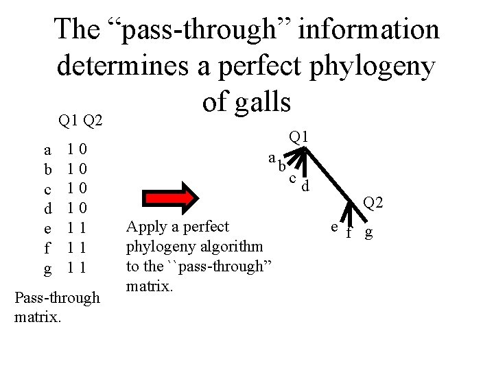 The “pass-through” information determines a perfect phylogeny of galls Q 1 Q 2 a