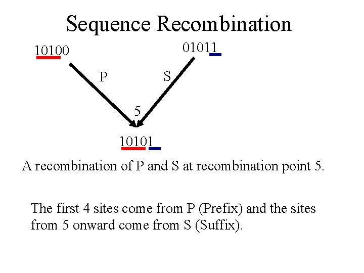 Sequence Recombination 01011 10100 S P 5 10101 A recombination of P and S