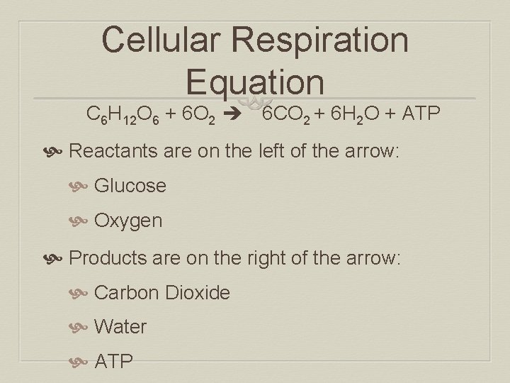 Photosynthesis Respiration Introduction to Energy Biochemistry Why do