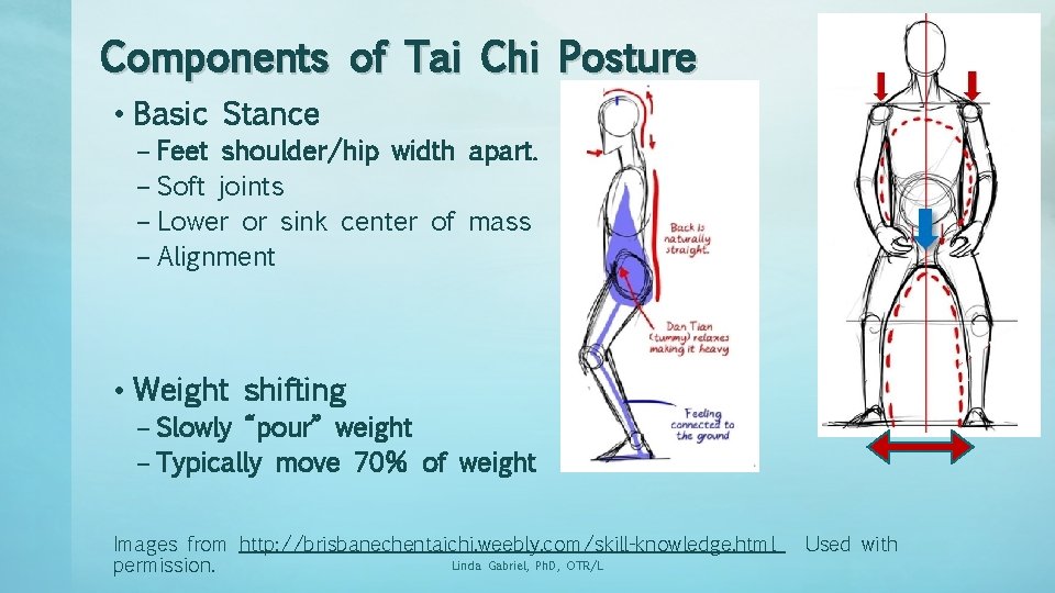 Components of Tai Chi Posture • Basic Stance – Feet shoulder/hip width apart. –