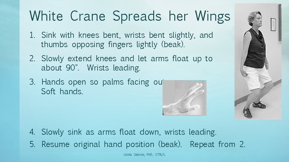 White Crane Spreads her Wings 1. Sink with knees bent, wrists bent slightly, and