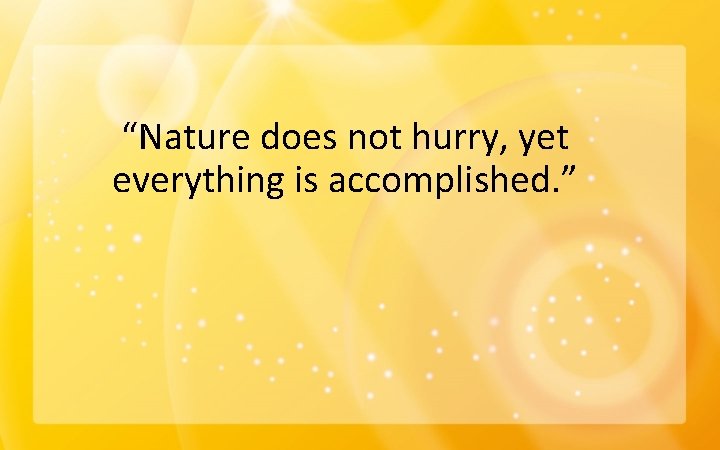 “Nature does not hurry, yet everything is accomplished. ” 