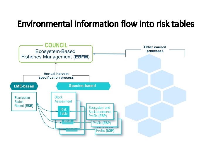 Environmental information flow into risk tables 