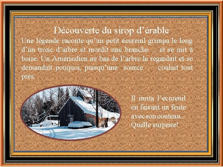 Découverte du sirop d’érable Une légende raconte qu’un petit écureuil grimpa le long d’un