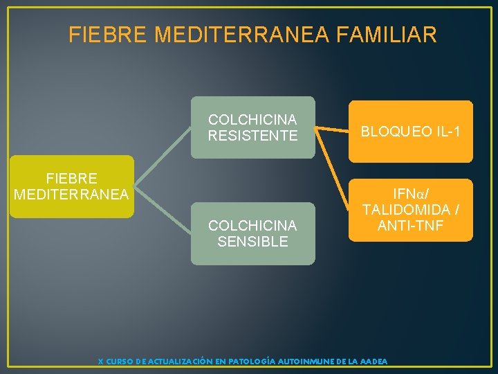 FIEBRE MEDITERRANEA FAMILIAR COLCHICINA RESISTENTE FIEBRE MEDITERRANEA COLCHICINA SENSIBLE BLOQUEO IL-1 IFNα/ TALIDOMIDA /